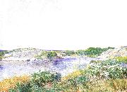 The Little Pond at Appledore, Childe Hassam